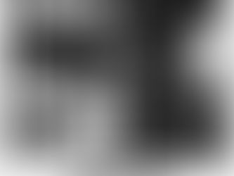 My Own Private Auschwitz