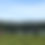 Thumbnail: Whole Sale Beef