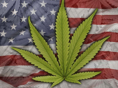 Can Cannabis Save America?