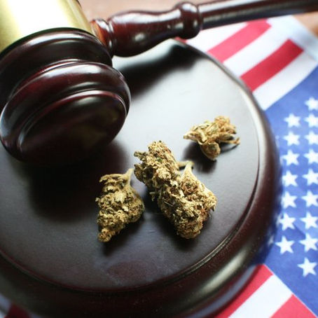 Ending Marijuana Prohibition Could Mean Major Business