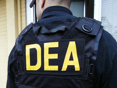 DEA to License Marijuana Growers