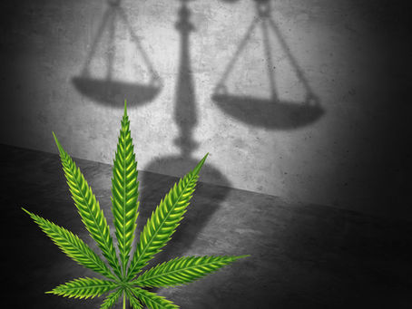 Federal Cannabis Legalization Talks Seem to be an Endless Cycle