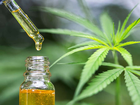 Check Out This Recipe to Make Cannabis Oil