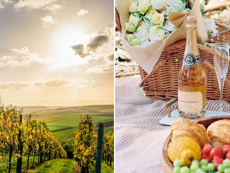 Cannabis in the Wine Country