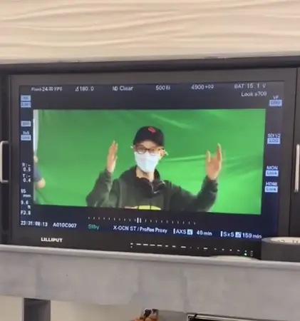 Vanish Green Screen.webp