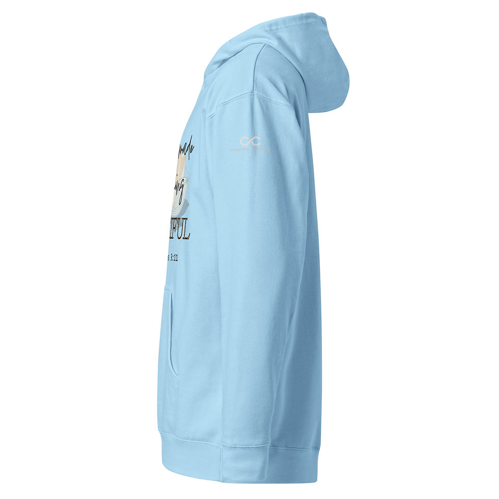 Thumbnail: Everything Beautiful (midweight) Hoodie