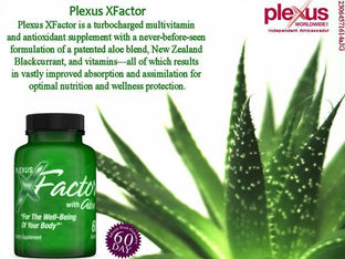 What Is Plexus X Factor??