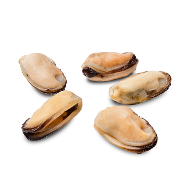 Mussel Meat