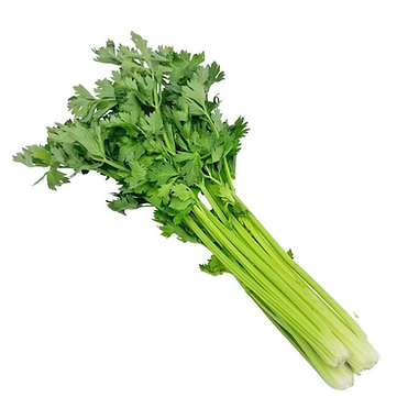 Celery/ Chinese 