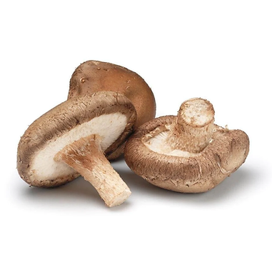 Mushroom Shitake / Fresh 