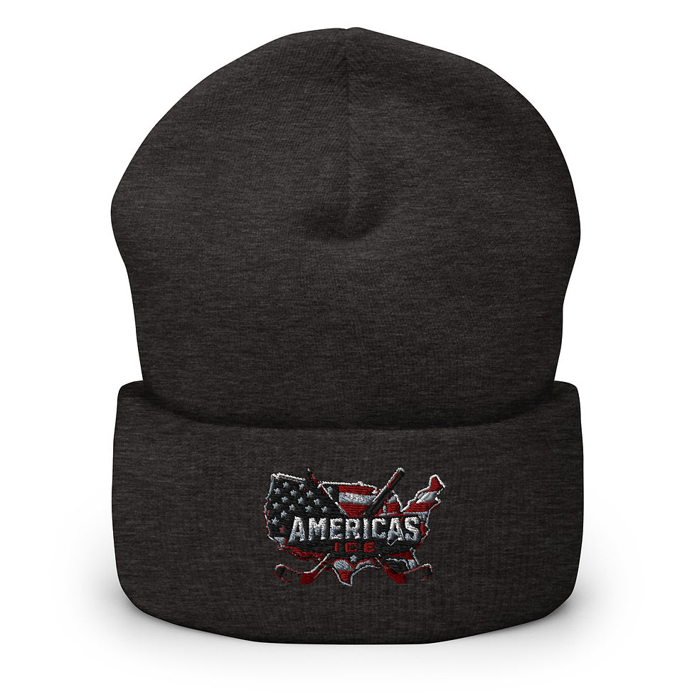 Cuffed Beanie Dark Grey Front | Americas Ice