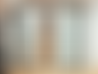 Frosted Glass Doors Interior: Enhancing Privacy and Light in Modern Homes