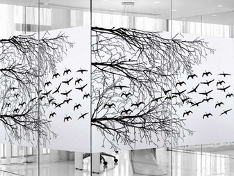 Privacy Film Black and White: Modern Window Solutions for Style and Security