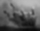 1st---R75_El-Caballo-Gringo_1.jpg