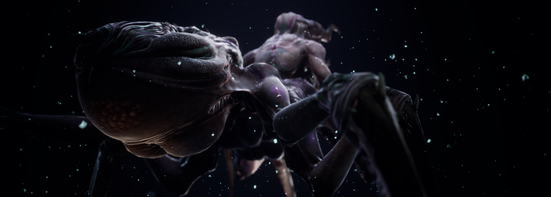 BEAUTY_CLOSEUP_CREATURE_04.png