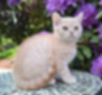 Agnes 10 weeks