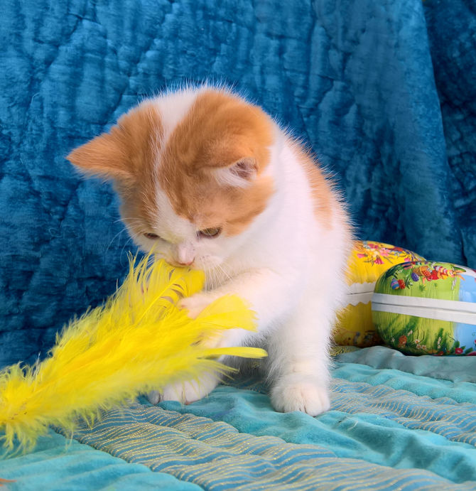 Glad Påsk önskar Skogshall's B-kull!!