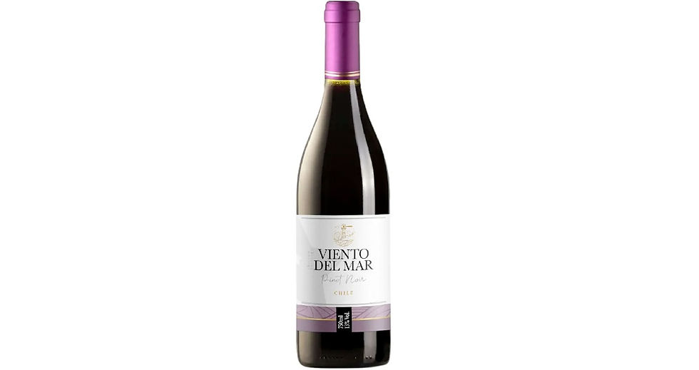 Vinho Viento Del Mar Pinot - Chileno