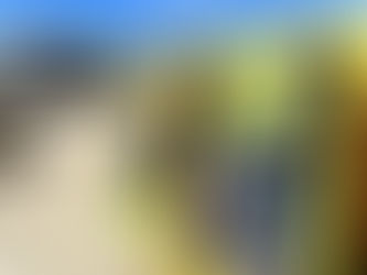 Saturday - See Us At Surfside Market