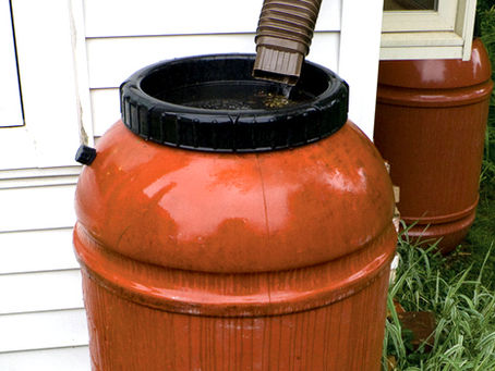 3 RAIN COLLECTION BARRELS AVAILABLE