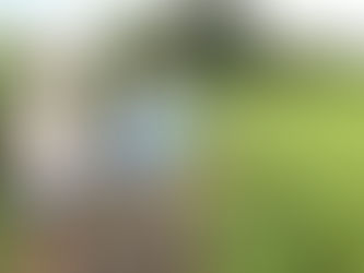 LORDSHIP BLUFFS RESTORATION PROJECT ADVANCES …