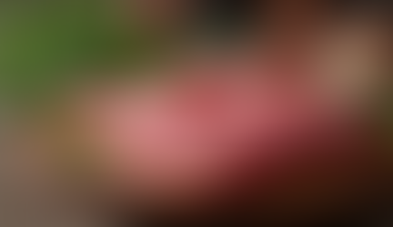 O que define um açougue de excelência em Curitiba? O Guia do Especialista.