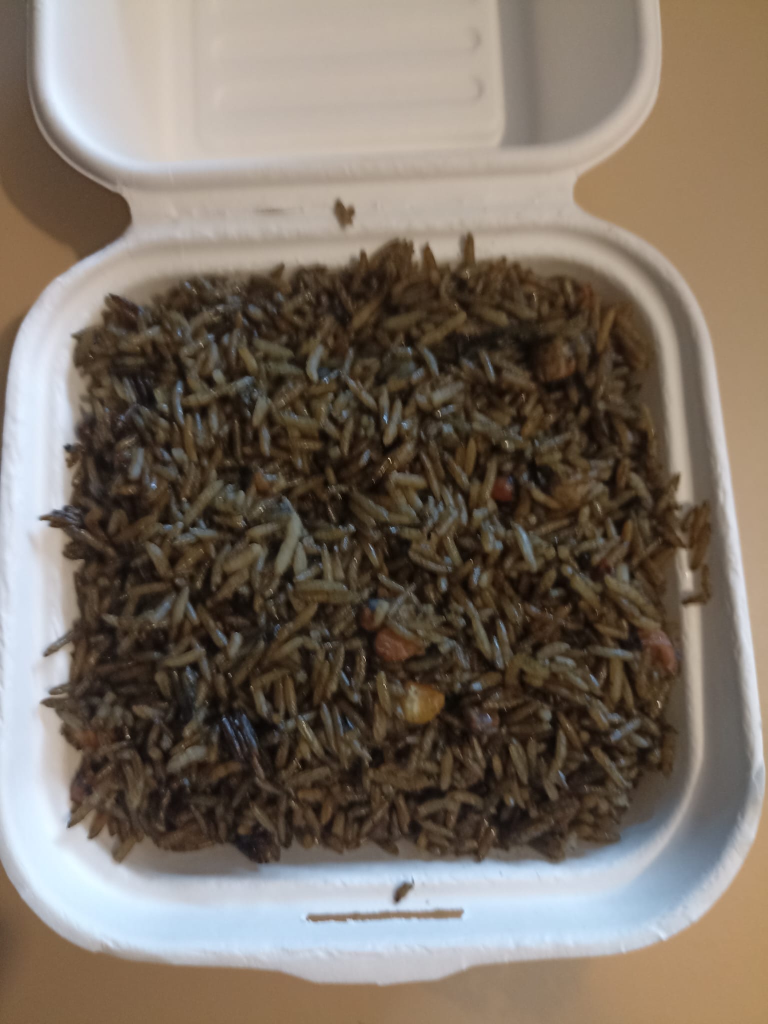 Arranged Food and Objects