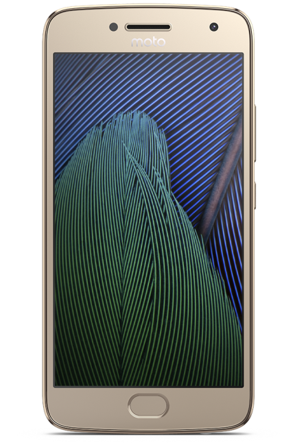 Seguro para smartphone Motorola Moto G5S Plus