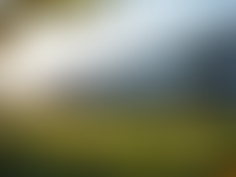 Celebrating 50 Years of St. Peter's Technical Training