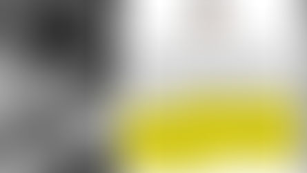 Gugu Bueno pede criação de setor de combate aos maus-tratos de animais e canal de denúncia online