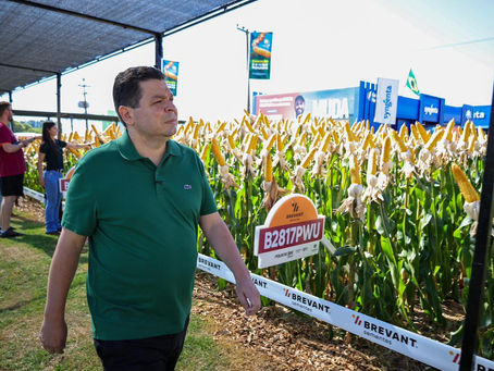 Gugu Bueno defende projeto que regulamenta inteligência artificial no campo no Paraná