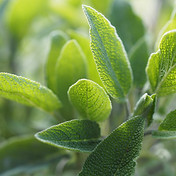 AdobeStock_122791975.jpeg