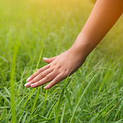 AdobeStock_162163034.jpeg