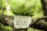 AdobeStock_192275464.jpeg