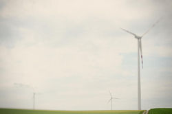 DSC_1011_1_новый размер