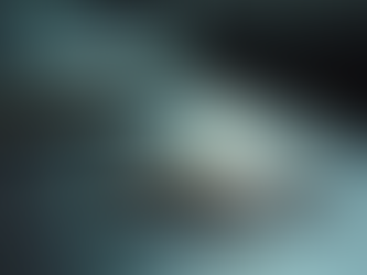 Police Officer Background Investigations