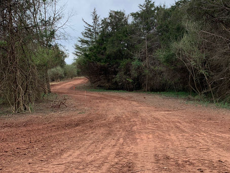 Building Your Dream Home: Tips and Tales from Our Journey so Far!