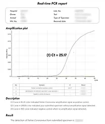 RT-PCR.webp