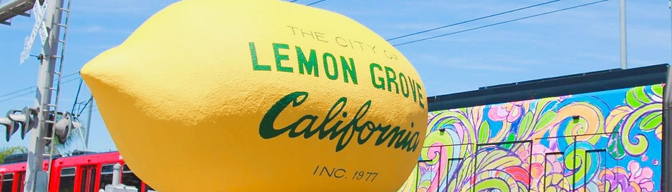 Lemon-Grove-ADU-Regulations-1.jpg