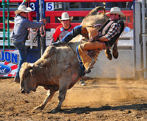 All-About-the-Lakeside-Rodeo.jpg