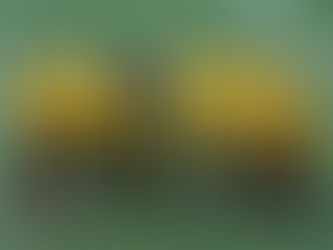 En partido pendiente San Luis recibe en Quillota a Arturo Fernández Vial