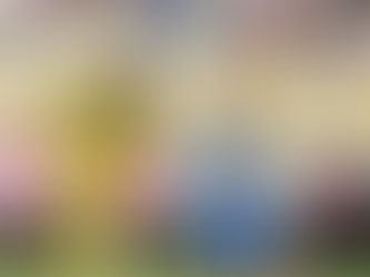 Everton evitó el despegue de San Luis en Copa Chile