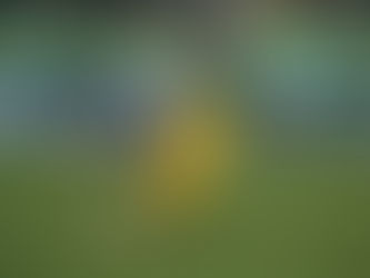 Lapidario informe contra Moiraghi