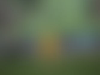 CACERES ABANDONA EL BARCO