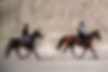 AERC_Fire Mountain 2024 (203 of 321).jpg