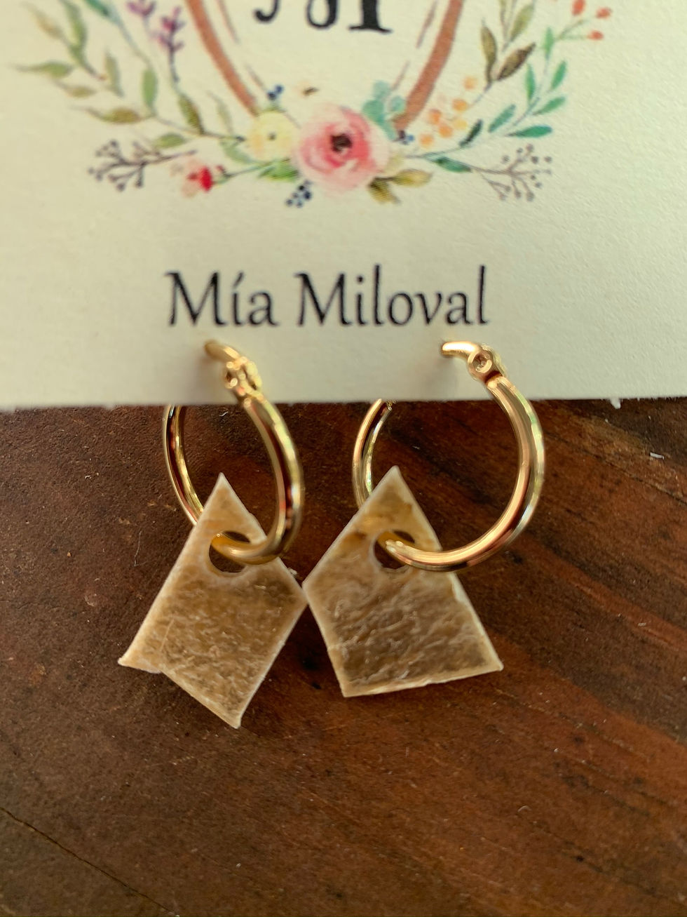 Miniatura: Aros LONJITAS