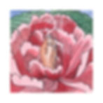 Encontrei um universo em minhas mãos e nele passei a morar #ll