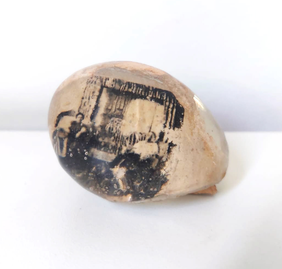 Arquitetura de morar - série ovos