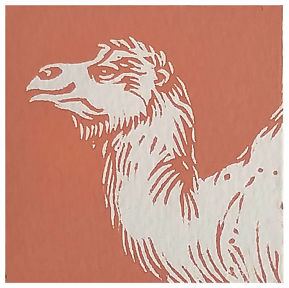 Tête N ̊ 3 (o resistente)