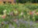 1BC5B711-1BC0-4B2F-8527-11EE55F734CF.heic